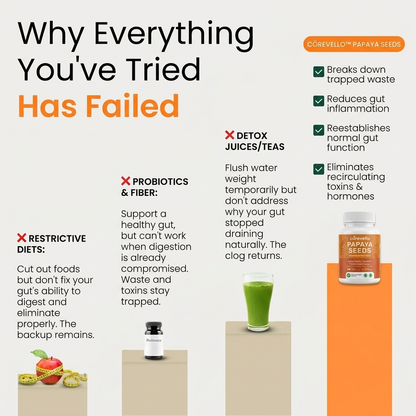 Corevello™ Papaya Seeds – The Complete Gut Reset Formula