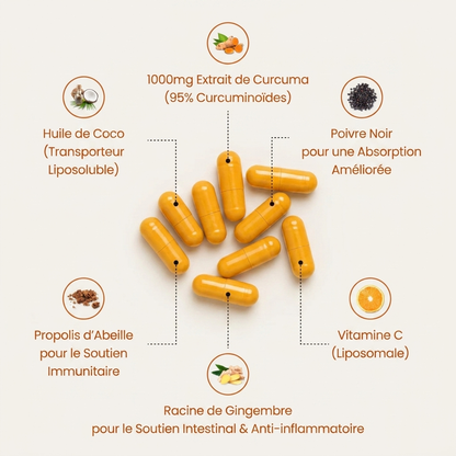Gélules de curcuma (1 000 mg)