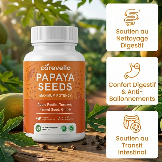 Corevello™ Graines de Papaye – La Formule Complète de Rééquilibrage Intestinal