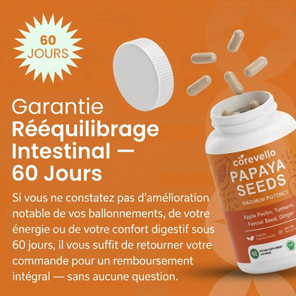 Corevello™ Graines de Papaye – La Formule Complète de Rééquilibrage Intestinal
