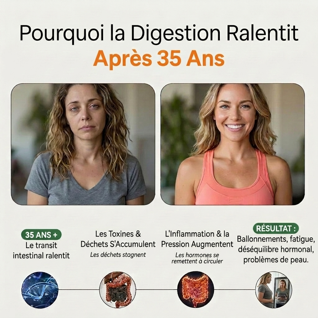 Corevello™ Graines de Papaye – La Formule Complète de Rééquilibrage Intestinal