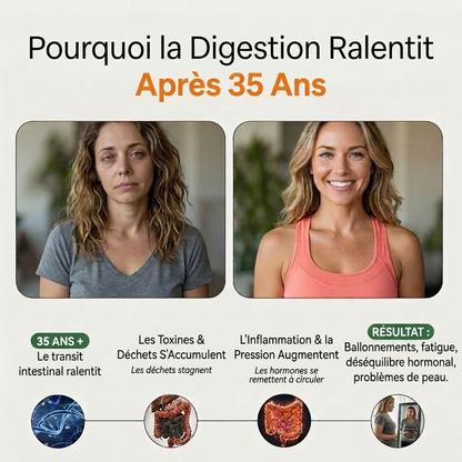 Corevello™ Graines de Papaye – La Formule Complète de Rééquilibrage Intestinal