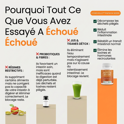 Corevello™ Graines de Papaye – La Formule Complète de Rééquilibrage Intestinal